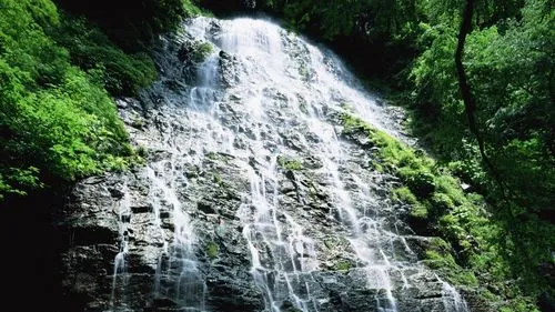 节能信息化环保